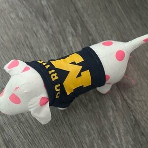 Vs pink Michigan dog